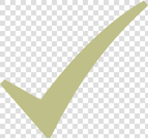 Beige Check Mark  HD Png Download