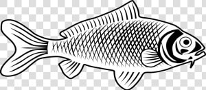 Sunfish Drawing Fishline   Fish Images Line Art  HD Png Download