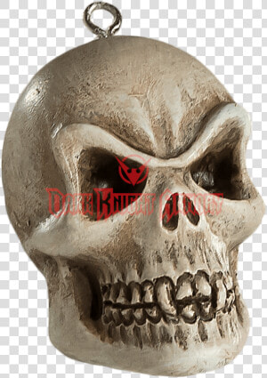 Vampire Skull Horror Ornament   Skull  HD Png Download