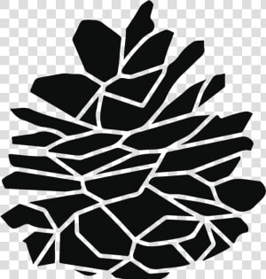 Clip Art Pinecone Cookies   Illustration  HD Png Download