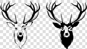 Deer Head Png Picture   Deer Head Png  Transparent Png