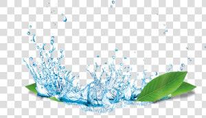  mq  water  splash  waters  rain  leaves  nature  HD Png Download