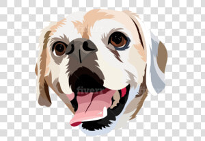 Dog Yawns  HD Png Download