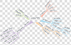 Mapa Mental Fotografía  El Proceso Creativo   Mapa Mental De Mark Twain  HD Png Download