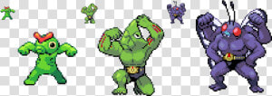 Putting Any Head On Machoke Or Machamps Body Will Produce   Machop Machoke Machamp  HD Png Download