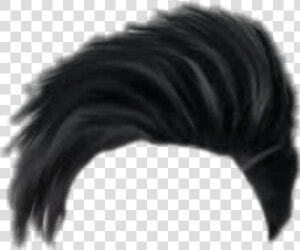 Hair Png  Hair Png Cb  Picsart Hair Png  Cb Hair Png    Fish  Transparent Png