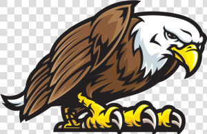 Eagle Clipart Mascot Fight   Eagle Mascot Logo Png  Transparent Png