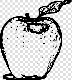 Free Vector Apple Line Art   Apple Black And White Images In Png  Transparent Png