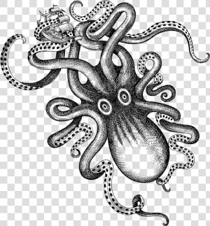 Kraken Rum Liquor Octopus   Kraken Black And White  HD Png Download