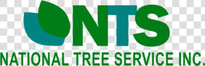 Nts National Tree Service Inc   Graphic Design  HD Png Download