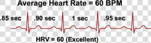 Heart Rate Variability And Bpm  HD Png Download