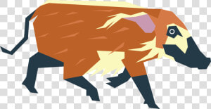 A Red River Hog I Saw Them For The First Time This   Red River Hog Png  Transparent Png