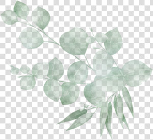 Twig  HD Png Download