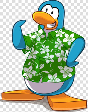 Image Light Blue Penguin   Rookie Club Penguin Png  Transparent Png