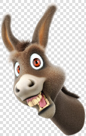 Donkey Png Photo   Donkey Face Cartoon Png  Transparent Png