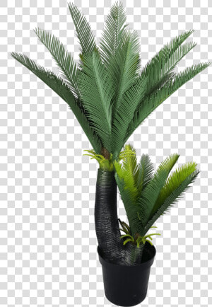 Artificial Two Headed Cycas Tree   Sago Palm  HD Png Download