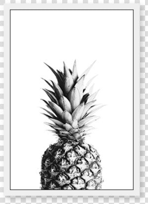 Pineapples Black And White  HD Png Download