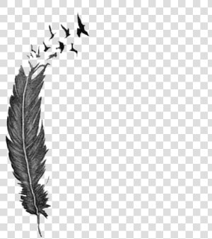  feather  tattoo  freetoedit   Feather Breaking Into Birds Tattoo  HD Png Download