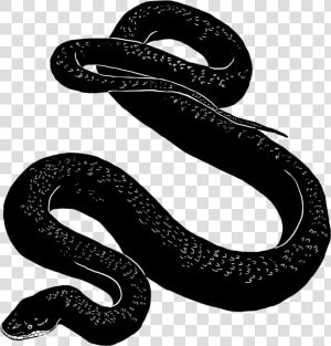 Snake   Snake Black Transparent Background  HD Png Download