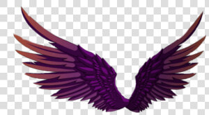  wings  angel  angelwings  wing  fairy  fairywings •   Illustration  HD Png Download