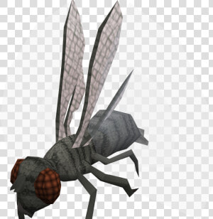 Demonic Giant Flies Pathfinder  HD Png Download