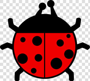 Free Vector Ladybug Flat Colors   Ladybug Clipart  HD Png Download