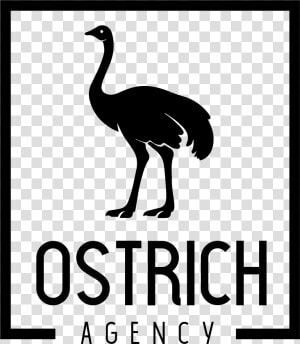 Ostrich Agency   Flightless Bird  HD Png Download