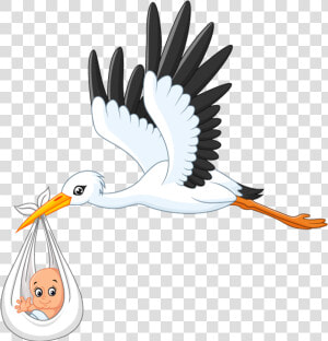 White Stork Infant Clip Art   Stork Cartoon Flying  HD Png Download