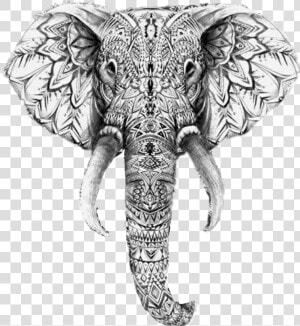  elephant  ganesh  god  tattoo  inked   Elephant Face Tattoo Design  HD Png Download