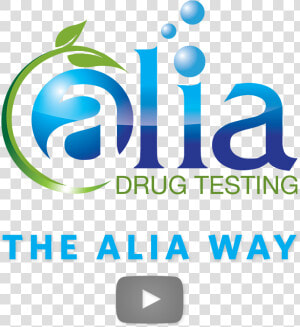 Drug Testing For Individuals   Graphic Design  HD Png Download