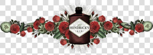 Design Element   Hendricks Gin Cloud Illustration Png  Transparent Png