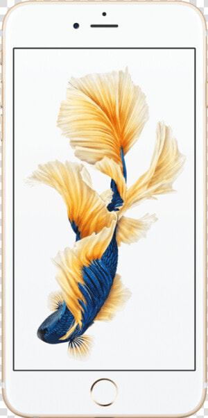 Apple Iphone 6s Plus   Iphone Ikan Cupang  HD Png Download