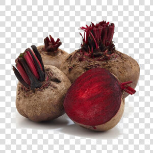 Beet Png Image   Beetroot  Transparent Png