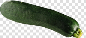 Zucchini Png  Transparent Png