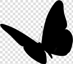 Butterfly Wings Png Image With Transparent Background   Butterfly Silhouette Side View  Png Download