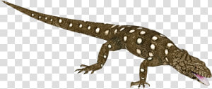 Monitor Lizard   Png Download   Monitor Lizard  Transparent Png