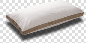 Pad linens beige dog Cover   Imágenes De Almohada  HD Png Download