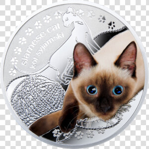 Swarovski Siamese Cat  HD Png Download