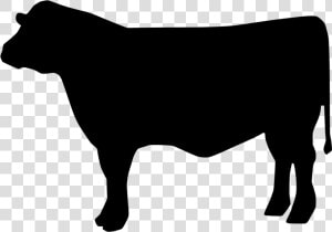 Beef Cattle Svg Clipart   Png Download   Beef Cow Svg File  Transparent Png