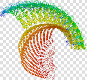 Estructuras Macromoleculares  HD Png Download