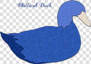 Mallard Duck Decoy Mallard Duck Mallard Duck Blue Mallard   Ruddy Duck  HD Png Download