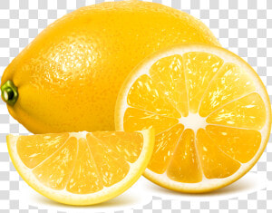 Transparent Lemon Juice Clipart   Realistic Lemon Vector  HD Png Download