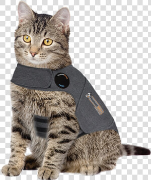 Thundershirt For Cats  HD Png Download