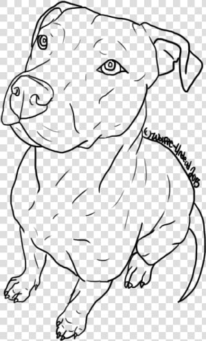 American Pit Bull Terrier Puppy Drawing Line Art   Cute Drawings Of Pit Bulls  HD Png Download