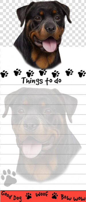 Rottweiler   Dog  HD Png Download