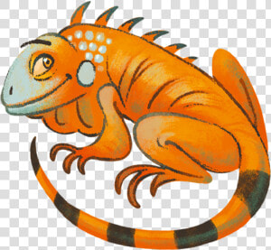 Iguana Clipart Orange   Iguana  HD Png Download