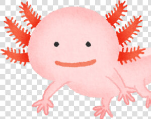 Axolotl Clipart   ウーパールーパー イラスト  HD Png Download