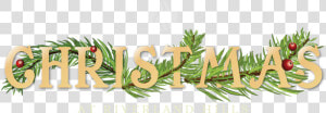 Christmasatrh Web Header Web Header   Illustration  HD Png Download