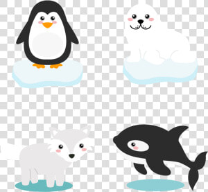 Polar Animals Arctic Bear Vector Cartoon Penguin Clipart   Arctic Animals Cartoon Png  Transparent Png