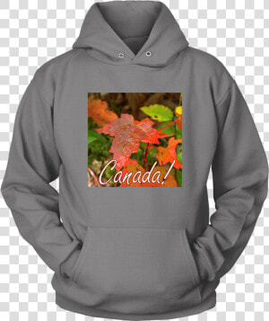 Bernese Mountain Dog Hoodies  HD Png Download